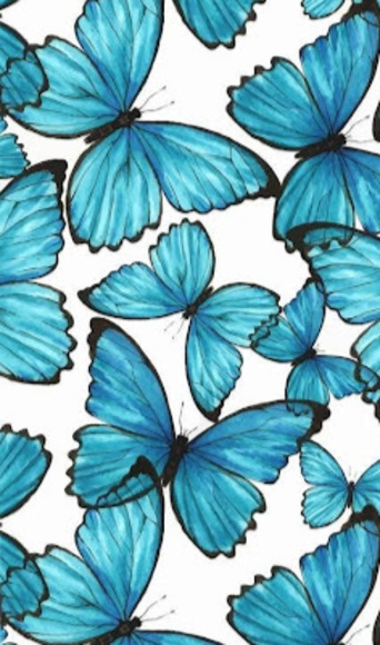 Meet your Posher, Luisana - Picture 1 of 1